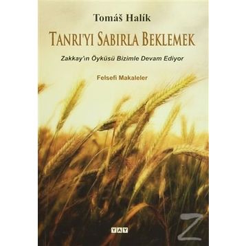 Tanrı’yı Sabırla Beklemek - Tomas Halik