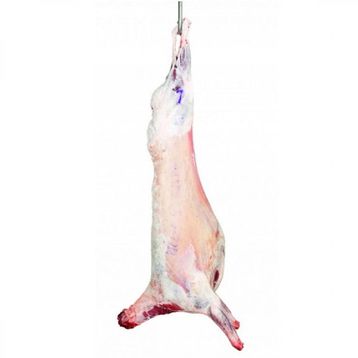 Tarım Kredi 1 kg Karkas Kuzu