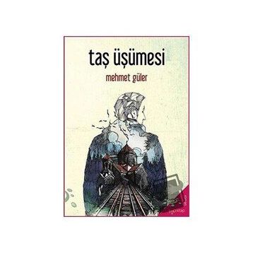 Taş Üşümesi-Mehmet Güler-h2o Kitap