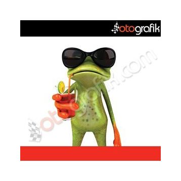 Tatilci Kurbağa Oto Sticker