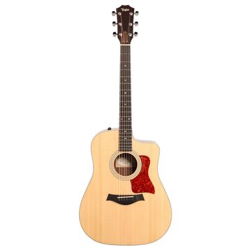 Taylor 210CE Akustik Gitar