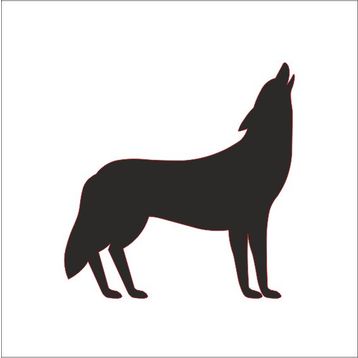 Technopa 200 cm Uzunluk Kurt Folyo Sticker