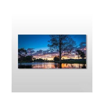Technopa Ağaç ve Göl 60x30 cm Kanvas Tablo