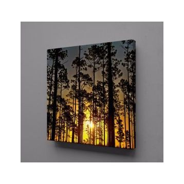 Technopa Ağaçlar 25x25 cm Kanvas Tablo