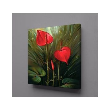 Technopa Antoryum Çiçeği 70x70 cm Kanvas Tablo