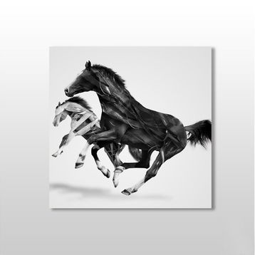 Technopa At Çift 140x140 cm Kanvas Tablo