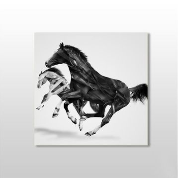 Technopa At Çift 150x150 cm Kanvas Tablo