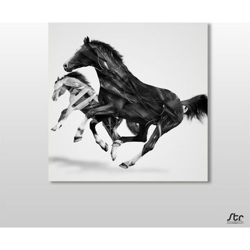 Technopa At Çift 160x160 cm Kanvas Tablo