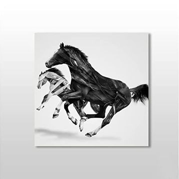 Technopa At Çift 90x90 cm Kanvas Tablo