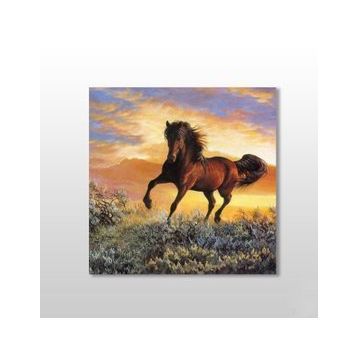 Technopa At Koşan 70x70 cm Kanvas Tablo