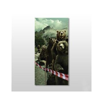 Technopa Ayılar 60x90 cm Kanvas Tablo