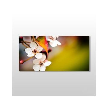 Technopa Bahar ve Çiçekler 60x30 cm Kanvas Tablo