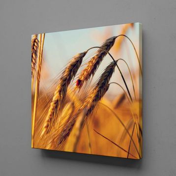 Technopa Başak Salkımı 30x30 cm Kanvas Tablo