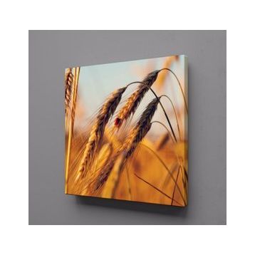 Technopa Başak Salkımı 80x80 cm Kanvas Tablo