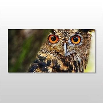 Technopa Baykuş 100x50 cm Kanvas Tablo