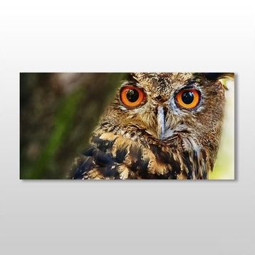 Technopa Baykuş 160x80 cm Kanvas Tablo