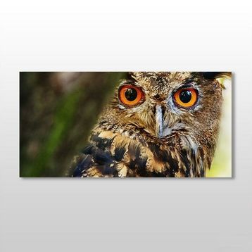 Technopa Baykuş 200x100 cm Kanvas Tablo