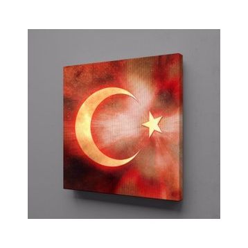 Technopa Bayrağın Işıldaması 25x25 cm Kanvas Tablo