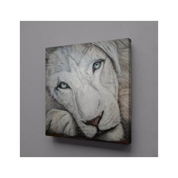Technopa Beyaz Aslan 70x70 cm Kanvas Tablo
