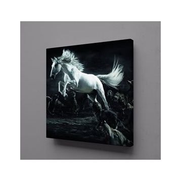 Technopa Beyaz At 70x70 cm Kanvas Tablo