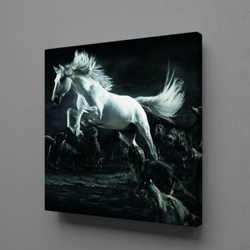 Technopa Beyaz At 70x70 cm Kanvas Tablo