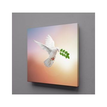 Technopa Beyaz Güvercin 40x40 cm Kanvas Tablo