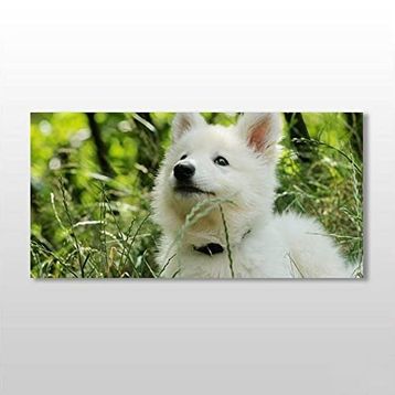 Technopa Beyaz Köpek 220x110 cm Kanvas Tablo