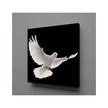 Technopa Beyaz Kuş 60x60 cm Kanvas Tablo