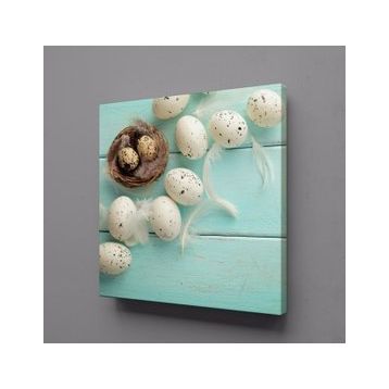 Technopa Bıldırcın Yumurtaları 90x90 cm Kanvas Tablo