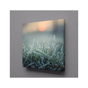 Technopa Buğday Başakları 70x70 cm Kanvas Tablo