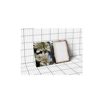 Technopa Cami Tekne 25x25 cm Kanvas Tablo