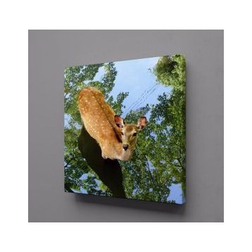Technopa Ceylan 60x60 cm Kanvas Tablo
