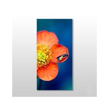 Technopa Çiçekteki Böcek 60x90 cm Kanvas Tablo