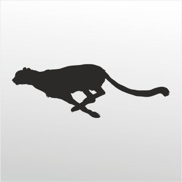 Technopa Çita 60 cm Folyo Duvar Stickerı