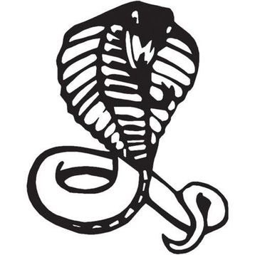 Technopa Cobra 200 cm Folyo Duvar Stickerı