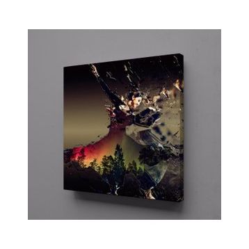 Technopa Dans Eden Kadın 40x40 cm Kanvas Tablo