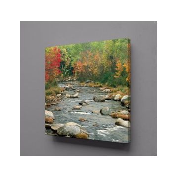 Technopa Deredeki Taşlar 90x90 cm Kanvas Tablo