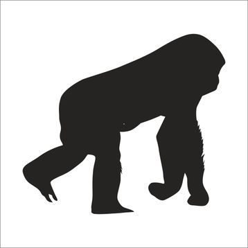 Technopa DERSTV1003 200cm Maymun Folyo Sticker