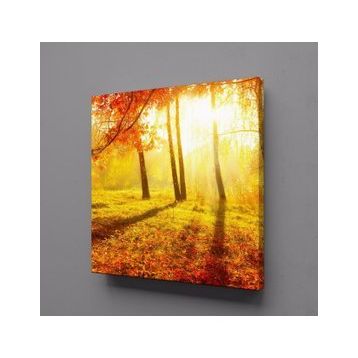 Technopa Doğa Manzarası 30x30 cm Kanvas Tablo