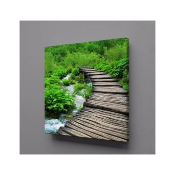 Technopa Doğadaki Köprü 100x100 cm Kanvas Tablo