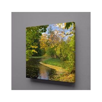 Technopa Dökülen Yapraklar 70x70 cm Kanvas Tablo