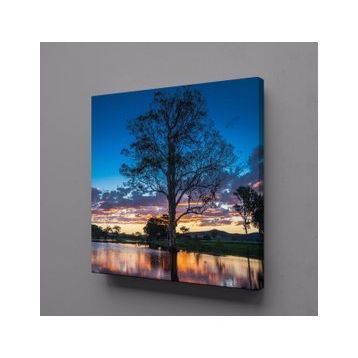 Technopa Göl İçindeki Ağaç 50x50 cm Kanvas Tablo