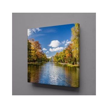 Technopa Göl ve Ağaçlar 40x40 cm Kanvas Tablo
