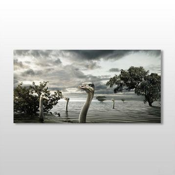Technopa Göldeki Ördekler 100x50 cm Kanvas Tablo