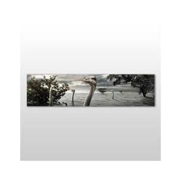 Technopa Göldeki Ördekler 120x40 cm Kanvas Tablo