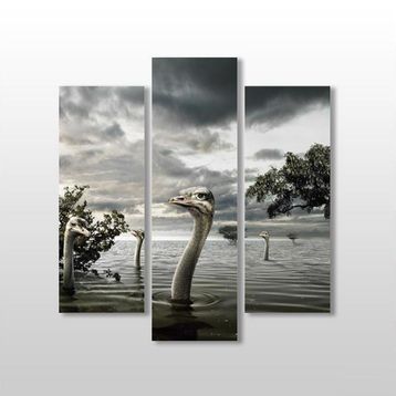 Technopa Göldeki Ördekler 75x80 cm Kanvas Tablo