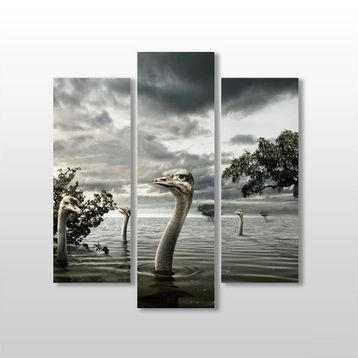Technopa Göldeki Ördekler 75x80 cm Kanvas Tablo