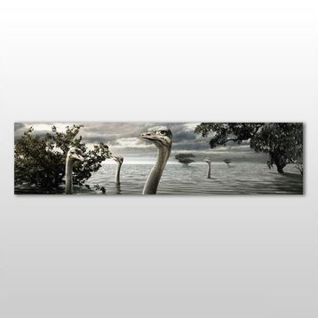 Technopa Göldeki Ördekler 90x30 cm Kanvas Tablo