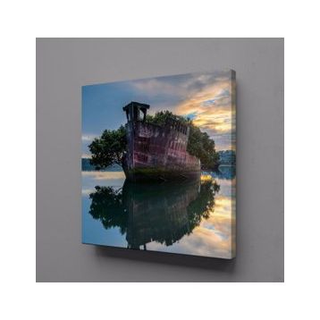 Technopa Göldeki Orman 100x100 cm Kanvas Tablo
