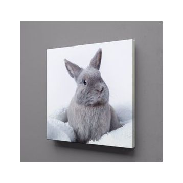 Technopa Gri Tavşan 90x90 cm Kanvas Tablo